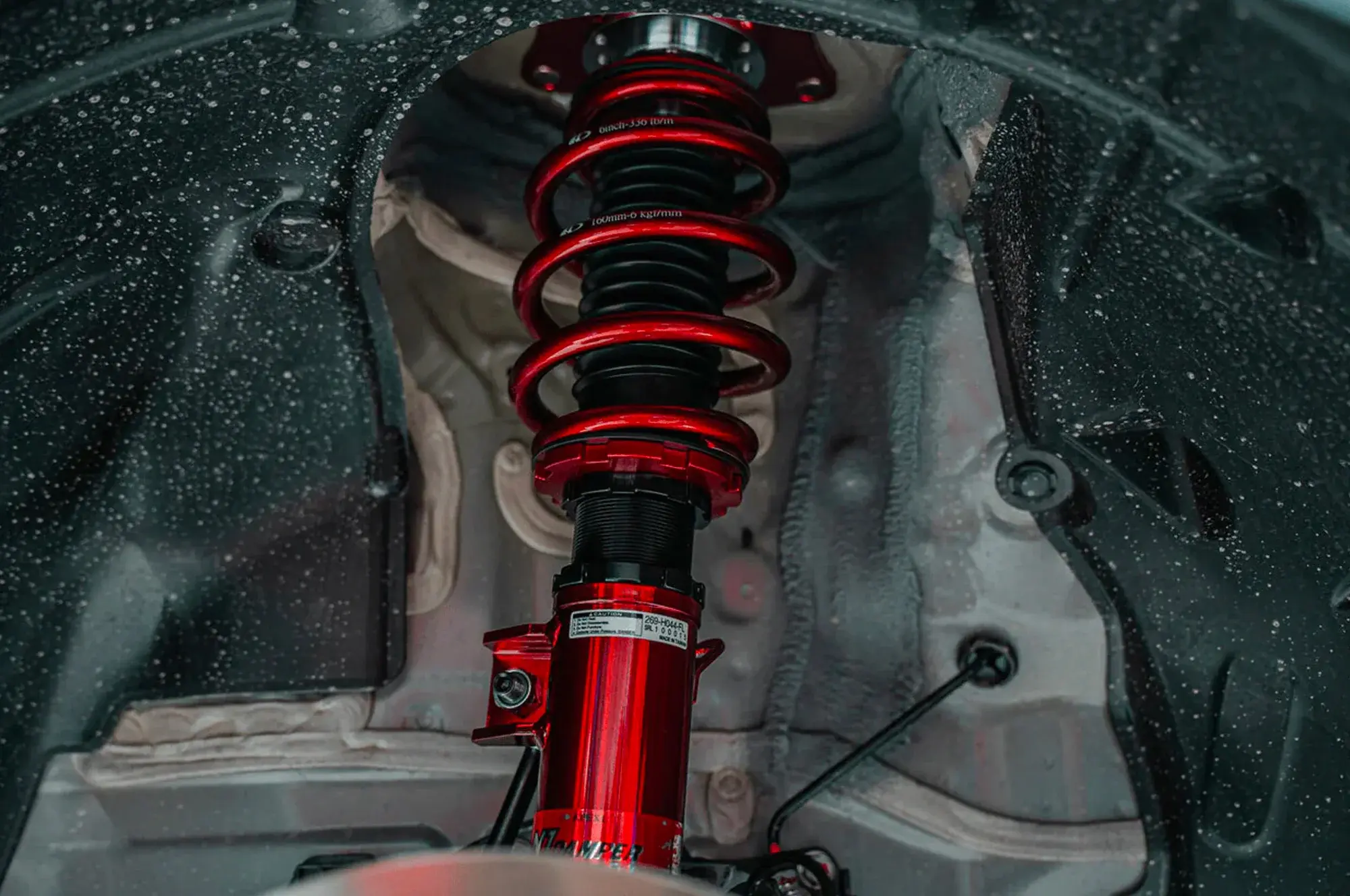 APEXi coilovers installed at Spade Kreations Cincinnati