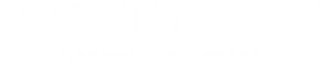BC Racing Suspension logo